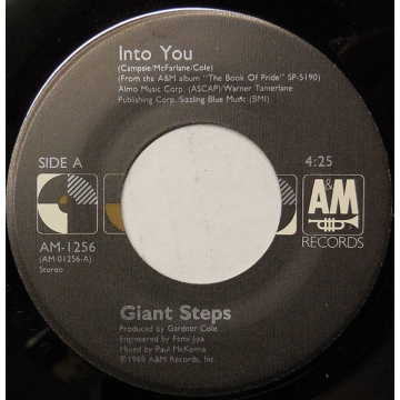 Vinyl 45 Single: Giant Steps - Into You / Give It Up