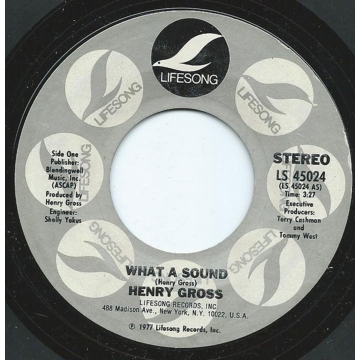 Single 45: Henry Gross ‎– What A Sound / I Can't Believe
New old stock Pop/Rock vinyl 1977