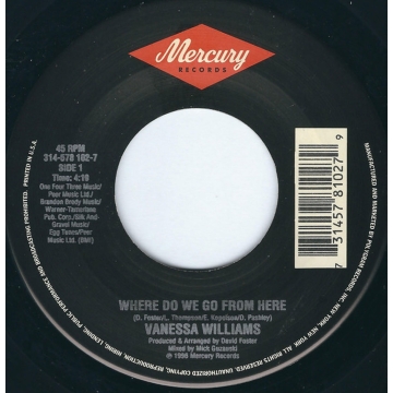 Single 45: Vanessa Williams ‎– Where Do We Go From Here / Erase
New old stock Pop vinyl 1996